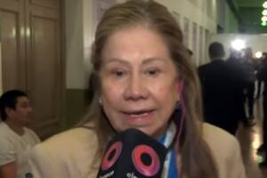 Graciela Camaño, anoche tras el debate