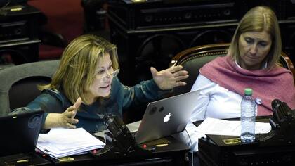 Graciela Camaño en la Cámara de Diputados