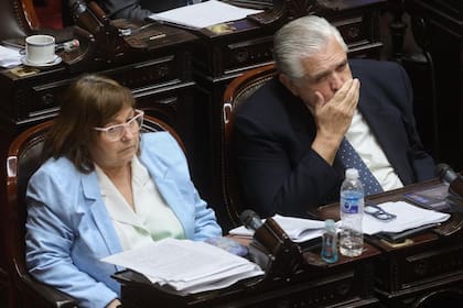 Graciela Ocaña y Ricardo López Murphy, en el debate del presupuesto 2023 en la Cámara de Diputados