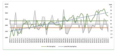 Gráfico 1. Evolución de los rendimientos de la soja en las últimas campañas con diferentes eventos climáticos