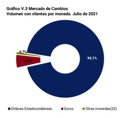 Gráfico del Banco Central, según el informe de Evolución del Mercado Cambio de julio.