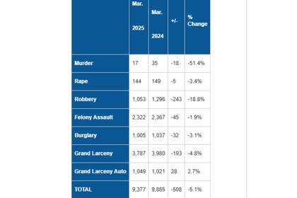 Gráfico del Departamento de Policía de Nueva York
