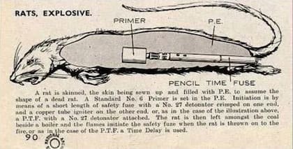 Gráfico del dispositivo explosivo oculto en ratas