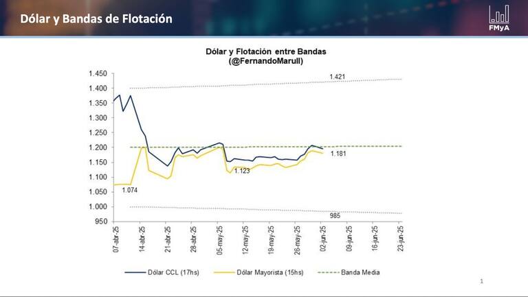 Gráfico elaborado por Fernando Marull sobre la divisa norteamericana en las bandas impuestas por el Gobierno