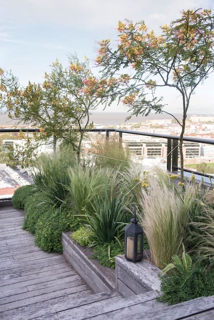 Gramíneas, perennes y follajes estructurales construyen ritmo incluso en espacios mínimos