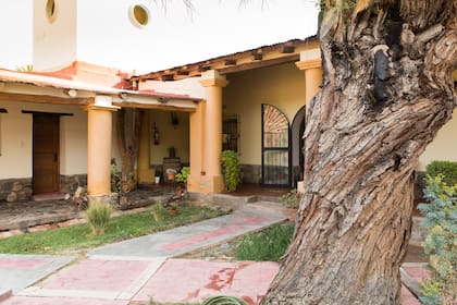 Gran algarrobo centenario en el patio de la casa construida en 1820.