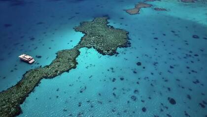 Gran Barrera de Coral, en Austrlia