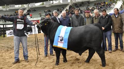 Gran Campeón Ternero, de Los Guasunchos