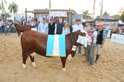 Gran Campeón Hembra Braford