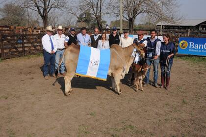 Gran Campeón Hembra Brahman