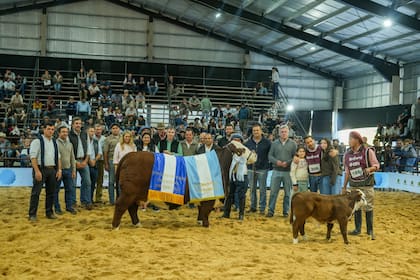 Gran Campeón Hembra Braford