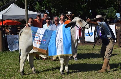 Gran Campeón Hembra, de Cabaña El Ceibalito