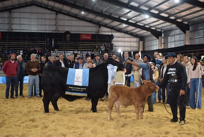 Gran Campeón Hembra de la cabaña El Impenetrable
