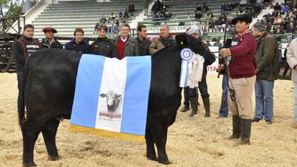 Gran Campeón Hembra, de Los Orígenes y Ganadera del Cele