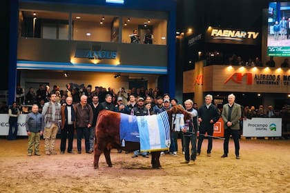 Gran Campeón hembra supremo de la Cabaña La Rubeta SA