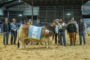 Los Brahman picaron en punta y consagraron a los primeros Grandes Campeones de las Nacionales 2026