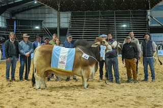 Los Brahman picaron en punta y consagraron a los primeros Grandes Campeones de las Nacionales 2026