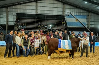 Braford consagró a sus grandes campeones de Las Nacionales