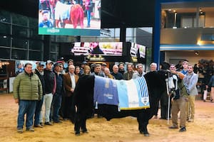 Las dos cabañas Angus que se quedaron con los Supremos de la Expo de Otoño