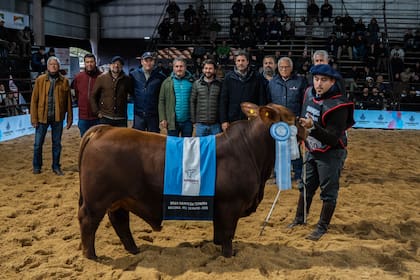 Gran Campeón Ternero, de Cabaña San Marcos