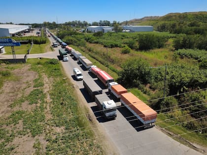 Gran cantidad de camiones esperan para descargar trigo en la terminal portuaria de Rosario, ubicada en la zona oeste de la ciudad, luego de que se registrara una cosecha record de este cereal.