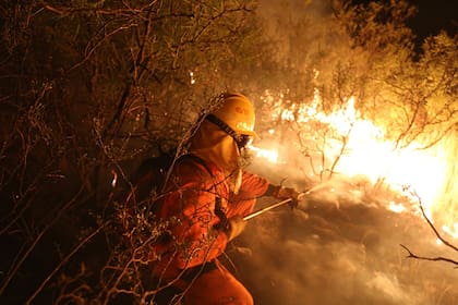 Más de 17 mil hectáreas quemadas en campos entrerrianos