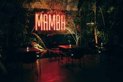 Gran oportunidad para conocer uno de los nuevos de la ciudad, Mamba