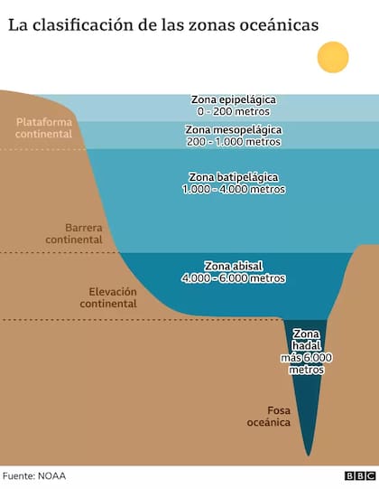 Gran parte de los fondos del océano están a profundidades de unos 4.000 a 5.500 metros