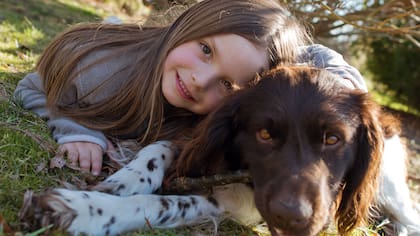 Durante el estudio se les recordó a los niños antes de las sesiones que no besaran, abrazaran ni amontonaran a los perros de terapia 