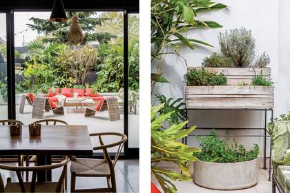 Grandes canteros escalonados alojan arbustos, plantas tropicales y árboles frutales en este jardín secreto en medio de la gran ciudad.