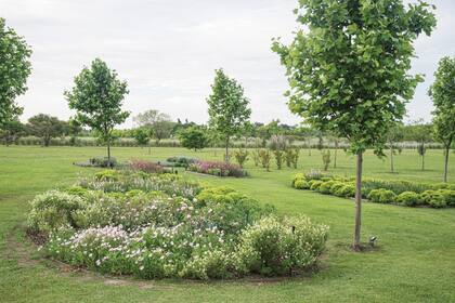 Grandes canteros que imitan la sensación de pradera adquieren estructura a fines de invierno gracias a los azareros enanos.