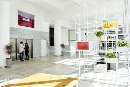 Casa Campus, una de las empresas dedicadas al coliving, que ofrece alojamiento en Buenos Aires