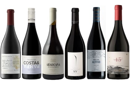 Grandes Pinot Noir que muestran el alto nivel que esta variedad alcanza hoy en el país