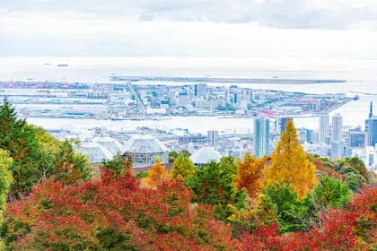 Grandes urbes japonesas como la portuaria Kobe están rodeados por densos bosques