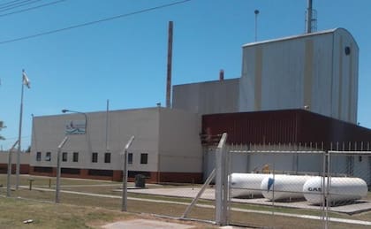 Granja Tres Arroyos redujo su faena
