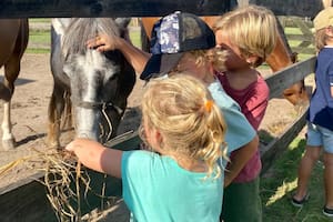 Granjas y complejos cerca de CABA para hacer un día de campo con la familia