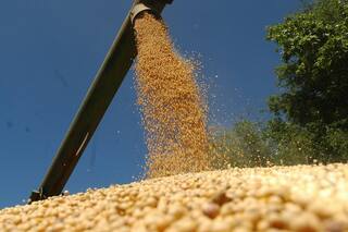 Calcularon que los productores tienen soja sin vender por más de US$10.000 millones