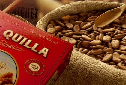 Granos de cacao natural