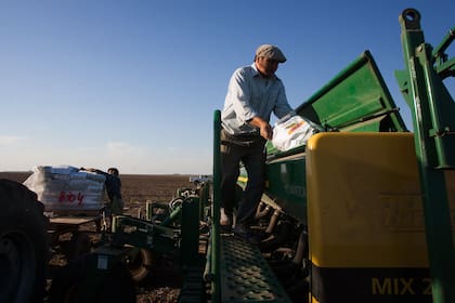 Para los economistas, las medidas podrían presionar sobre el valor de los insumos