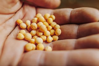 GRANOS. La soja gana un 1%, pero la falta de compras chinas limita las subidas