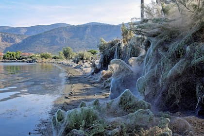 Es un fenómenos estacional que se da principalmente al final del verano y comienzo del otoño