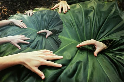 Green Hands (Manos Verdes), de Claudia Cebrián.