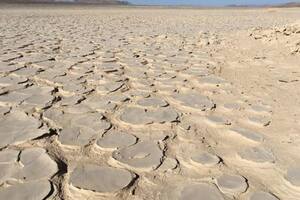 Hallaron rastros de la biosfera ocultos bajo el desierto más árido del mundo