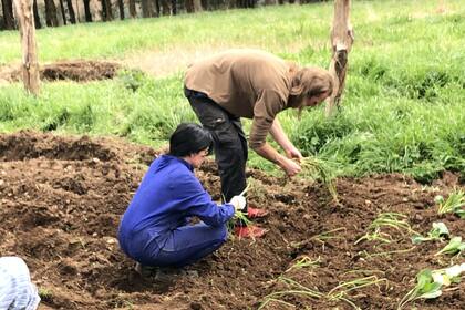 Lupe y Jack cultivando su tierra.