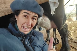 Comenzó con tres vacas lecheras y hoy hace un queso que es sensación