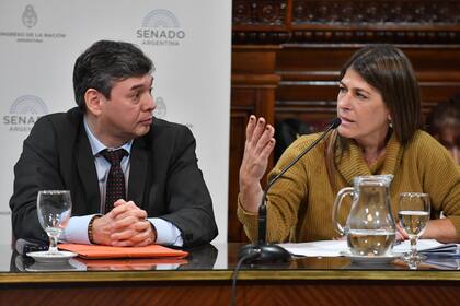 Guadalupe Tagliaferri y Marcelo Bersanelli en la reunión de la Comisión de Acuerdos del Senado de la Nación en la que trataron pliegos del poder judicial