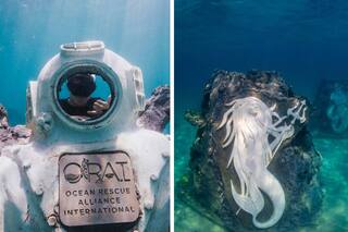 El sendero de arrecifes que es la joya oculta de Florida: para snorkel y con museo submarino