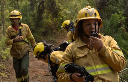 Guardias nocturnas contienen los focos espontáneos que se generan en Los Alerces