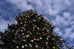 ¿Cuándo se arma el árbol de Navidad?