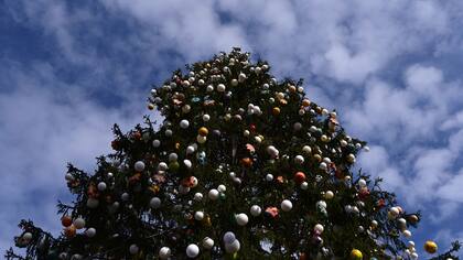 El árbol de Navidad nació como parte de una tradición pagana nórdica que el cristianismo adoptó más tarde